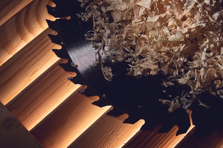 the concept of work as a carpenter - Wood chips and disk circular sawの写真素材