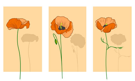 poppyのイラスト素材