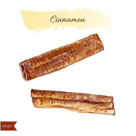 Cinnamon watercolor illustration isolated on white background. Hand drawn sketch. Design food elements. Series of food and ingredients for cooking.のイラスト素材