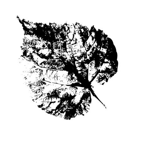 Graphic leaf isolated on white backgroundのイラスト素材