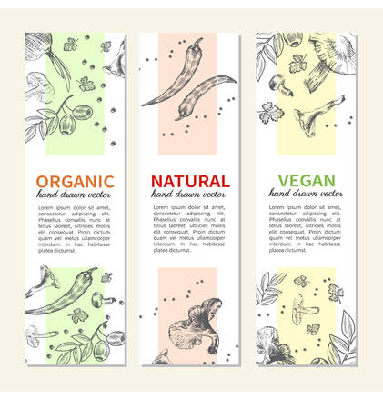 Set of  mushrooms, peppers, parsley and onion, Natural ingredients, illustration Perfect for farm market advertising, bio product business and agricultural industry, menuのイラスト素材