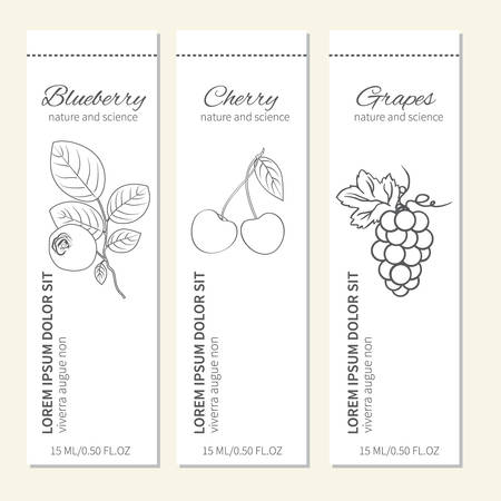 Set of 3 banners with hand drawn berries, Vector illustration isolated on white, Designed frame with space for text. Perfect for card,cosmetic,store,beauty salon,natural and organic productsのイラスト素材