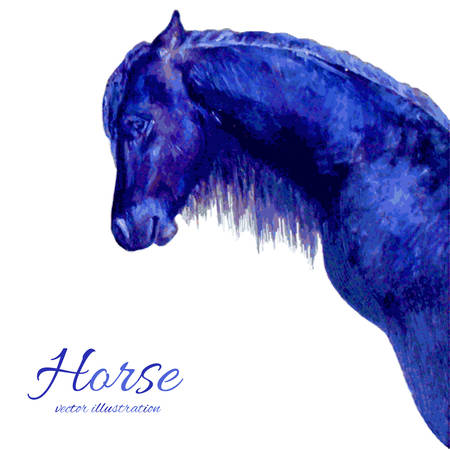 Watercolor horse hand drawn colorful vector illustration isolated on white backgroundのイラスト素材