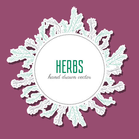 Hand drawn vector floral round frame Capsella flower, Shepherds purse, Capsella bursa-pastoris, entire plant decorative label, greeting card, ink sketch isolated on white backdrop for design cosmeticのイラスト素材