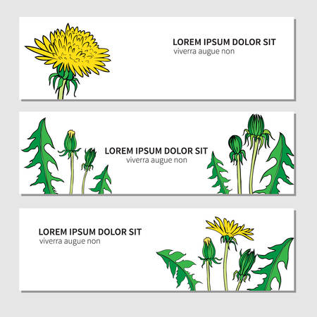 Dandelion flower, bud, leaves hand drawn vector ink color sketch isolated on white.のイラスト素材