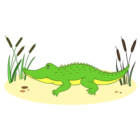 Cute cartoon little crocodile in reeds isolated on background.のイラスト素材