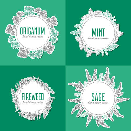 Willow herb, fireweed, rosebay, Blossoming oregano, sage, mint hand drawn sketch vector.のイラスト素材