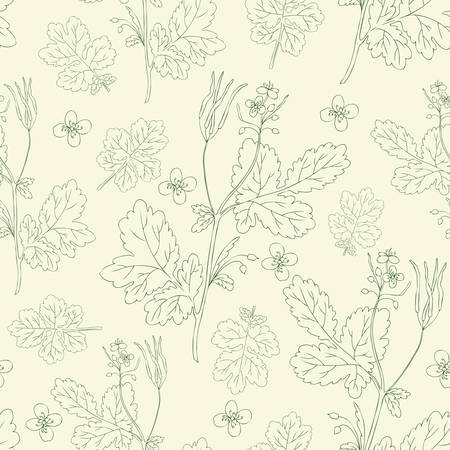 Celandine flower hand drawn graphic vector botanical illustration, seamless floral pattern, ink sketch isolated on light background.のイラスト素材