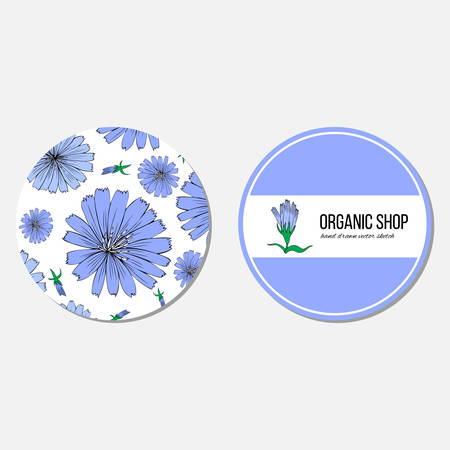 Chicory flower hand drawn vector colorful illustration, doodle sketch isolated on white background.のイラスト素材