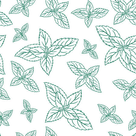 Mint leaves, peppermint isolated on white background, Hand drawn vector seamless patterns, spicy herbs, kitchen texture, Doodle cooking ingredient for design package tea, wallpaper, cosmetic, textileのイラスト素材