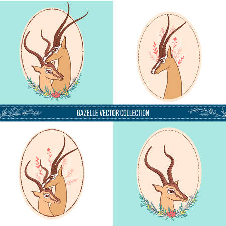 Gazelle colorful hand drawn vector illustration, African antelope with curved horns.のイラスト素材