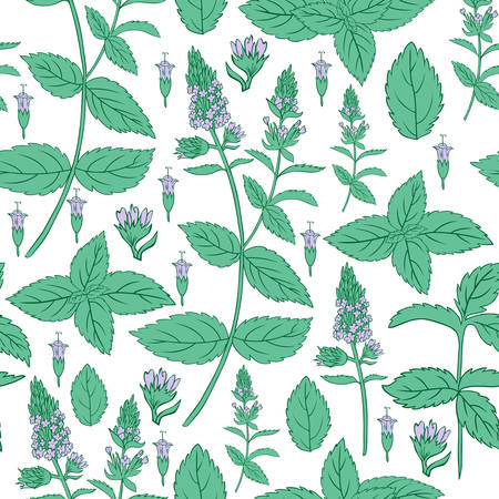 Mint leaf, blossom branch peppermint isolated on white background, Hand drawn vector seamless floral pattern, spicy herb kitchen texture, Doodle cooking ingredient for design package tea, cosmeticsのイラスト素材
