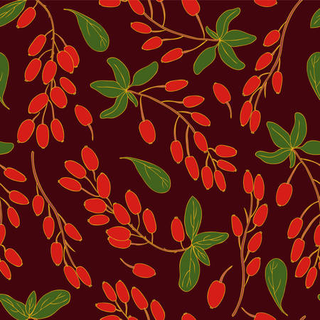 Seamless floral pattern, Barberry hand drawn branch vector sketch isolated on background, colorful  berry, Natural spicy herb, cooking ingredient for design package tea, cosmetic, textile, fabricのイラスト素材