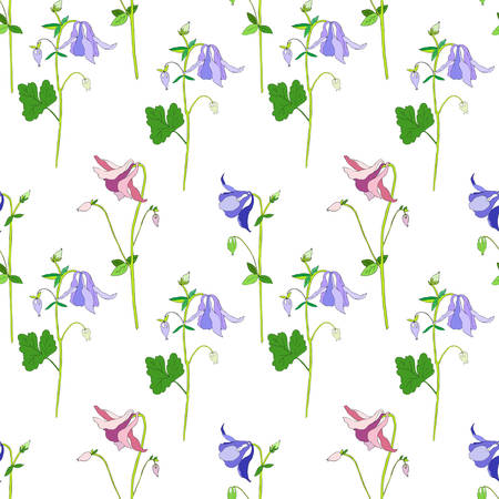 Aquilegia flowers illustration isolated on white background, Seamless floral vector pattern, decorative colorful texture for design greeting card, wedding invitation, cosmetic beauty, wallpaperのイラスト素材
