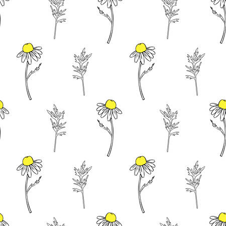 Seamless floral pattern, Chamomile wild field flower isolated on white background, hand drawn daisy sketch vector illustration for design package tea, organic cosmetic, natural medicine, greetingのイラスト素材