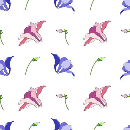 Aquilegia or Columbine flower hand drawn colorful vector botanical illustration, seamless floral pattern isolated on white background for design greeting card, wedding invitation, natural cosmeticsのイラスト素材