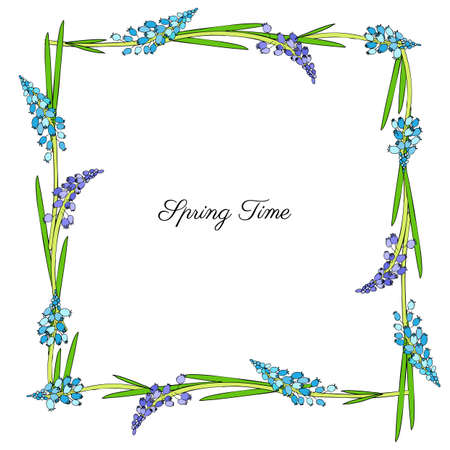 Decorative square frame Muscari flower hand drawn ink sketch isolated on white backdrop, floral hyacinth branch line art for package, natural medicine, cosmetic design, wedding invite, greeting cardのイラスト素材