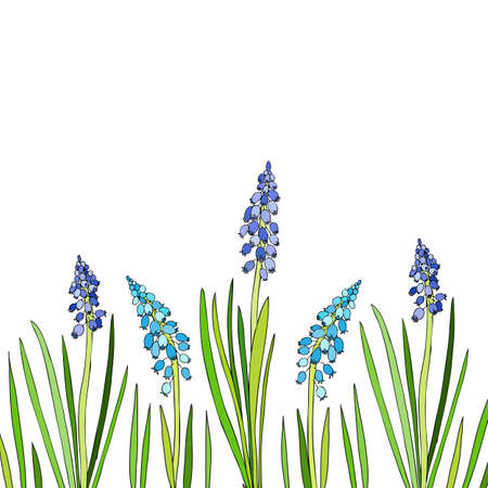 Decorative frame Muscari flower hand drawn ink sketch isolated on white backdrop, floral hyacinth branch line art for package, medicine, florist shop, cosmetic design, wedding invite, greeting cardのイラスト素材