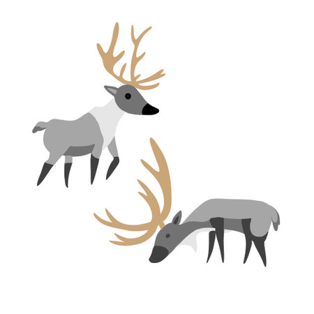 Decorative vector deer isolated on white background, wild reindeer, simple flat cartoon illustration cute mammal for design forest animal children pattern, cartoon poster Christmas, maps for kidsのイラスト素材