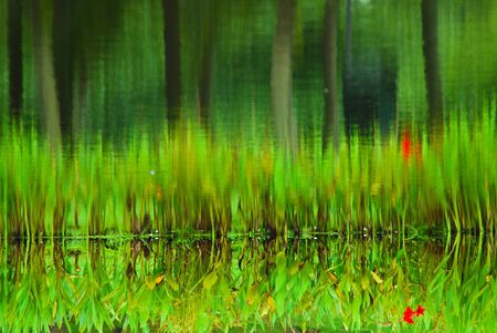 green reflectionsの写真素材