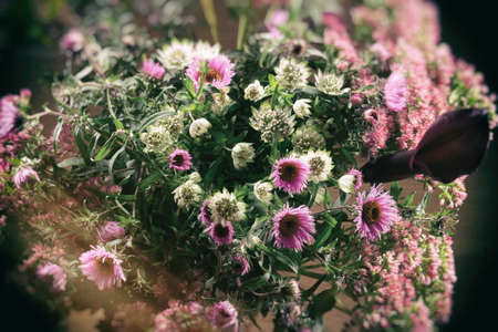 Bouquet of wild flowers on a dark background. Bouquet of dried wild flowers on a black texture background of vintage wooden planks top view horizontal.の写真素材