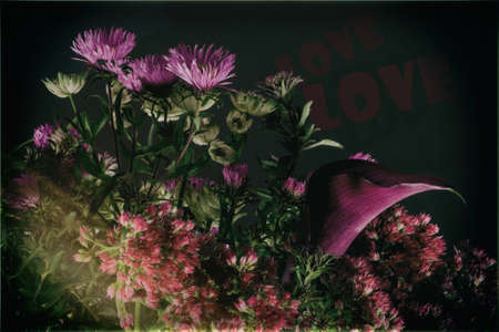 Bouquet of wild flowers on a dark background. Bouquet of dried wild flowers on a black texture background of vintage wooden planks top view horizontal.の写真素材