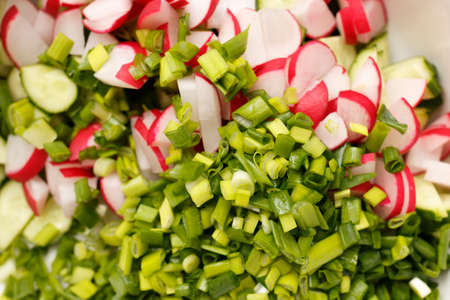 salad of fresh organic radish and cucumber with dill and green onions in white bowlの写真素材