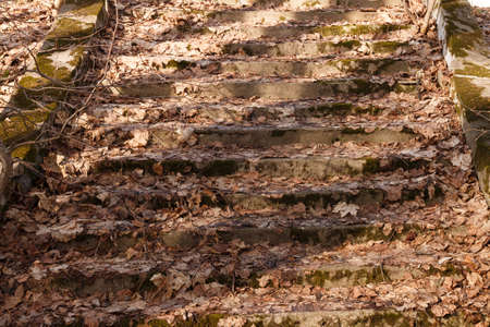 An old staircase in the park, covered with dry leaves. Spring in the park. Vintage paved stone steps...