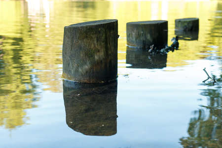Old wooden pier columns. Wooden pole in the water.の写真素材