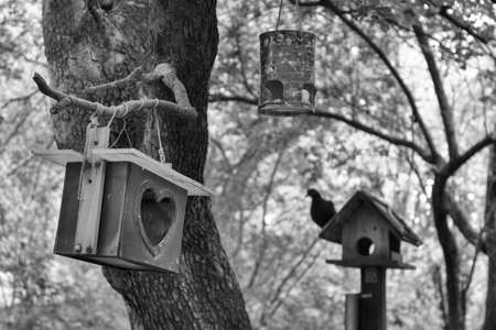 A birdhouse in the park. A homemade bird feeder in the forest. Black and white photographyの写真素材