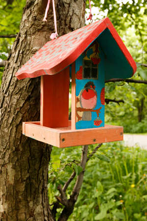 A birdhouse in the park. A homemade bird feeder in the forest.