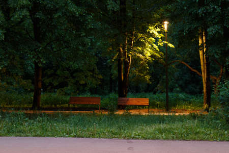 Park in the evening time. Lantern and benches in the summer park in the eveningの写真素材