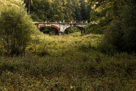 Ancient ruined brick bridge in the forest. Serednikiovo, Moscow region, Russia. Ancient brick bridge in the overgrown park.の写真素材