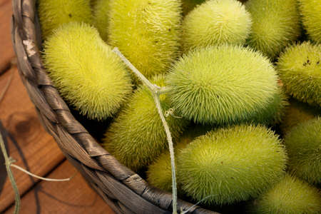 Exotic cucumbers. African wild cucumber Cucumis africanus tropical plant. Background of amazing wild cucumbersの写真素材