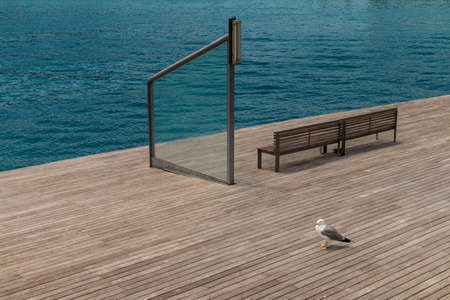 Wooden embankment of Barcelona. Seagull standing on the pierの写真素材