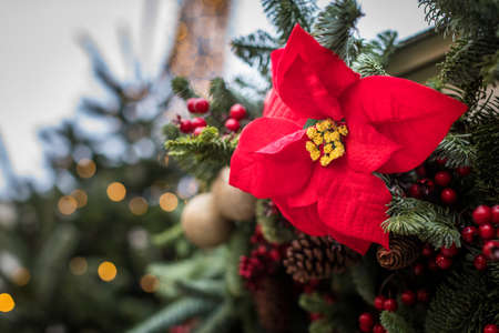 Decorated Christmas tree. Bright decorations for the New Year. Christmas decoration. Red flower, berries and ribbons, golden balls, cones decorate the Christmas tree. Christmas decoration. Background for New Year's greetings.の写真素材