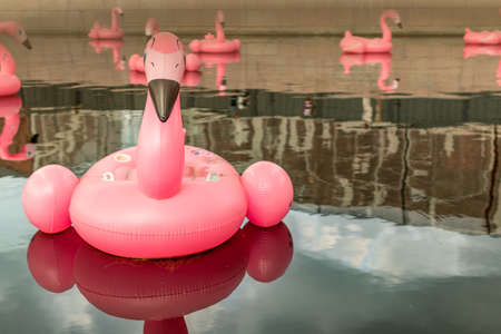 Large inflatable pink flamingos on the river. A lot of inflatable pink flamingos float on the water.