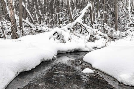 Russian winter landscape. Stream in the winter forest. Fairy winter forest with a stream. Winter...