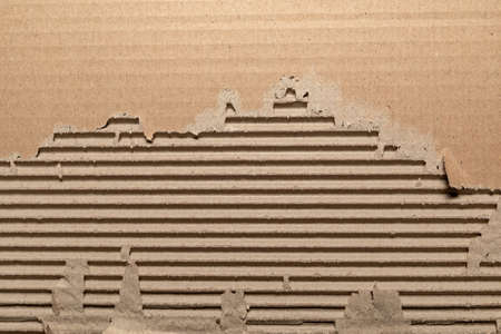 Texture of corrugated cardboard with torn edges. Texture cardboard packaging. Cardboard texture. Cardboard Mesh Backgroundの写真素材