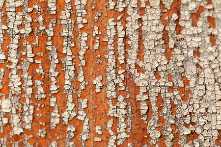 Multilayer paint. Peeling paint on a wooden surface. Cracked old paint on a wooden wall. Texture of...