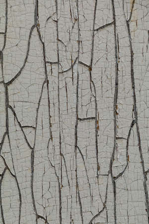 Multilayer paint. Peeling paint on a wooden surface. Cracked old paint on a wooden wall. Texture of...