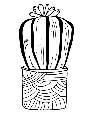 Black outline cactus with flowers in modern pot isolated on white background. Vector hand drawn botanical illustration.のイラスト素材