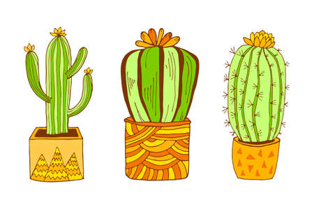 Indors plants collection. Vector hand drawn botanical illustration. Green cactus with flowers in modern terracotta pot set isolated on white background.のイラスト素材