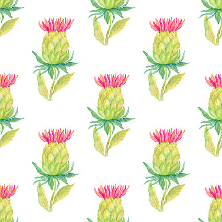 Artichoke plant seamless pattern illustration isolated on white background. Watercolor flower botanical painting.の写真素材