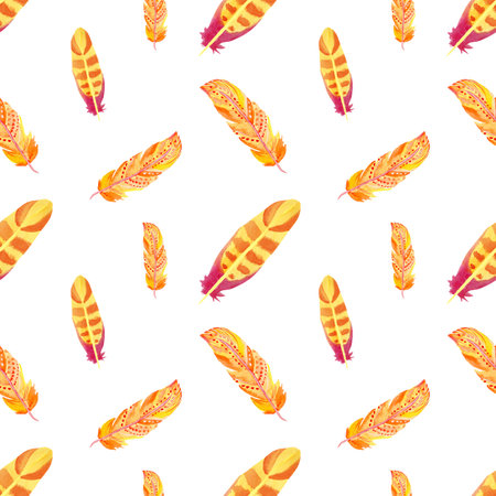 Watercolor feathers seamless pattern isolated on white background. Boho illustration.の写真素材