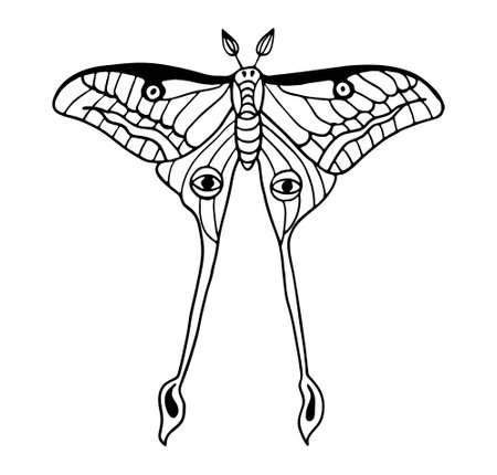 Butterfly line art illustration. Black outline modern witchcraft insect vector art.のイラスト素材