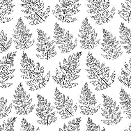 Fern leaves seamless pattern. Modern botanical line art. Floral black outline vector art.のイラスト素材