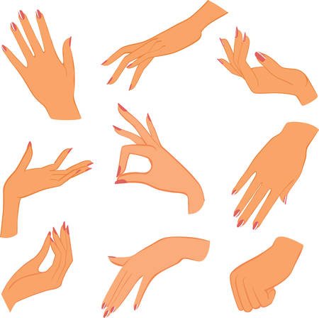 女性の手 の写真素材 イメージマート