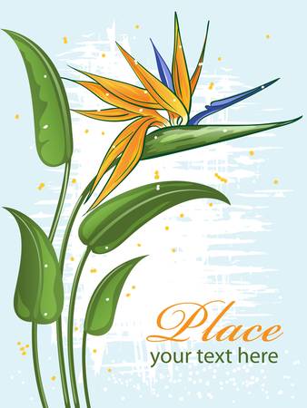 Tropical exotic flower. Abstract illustration. Greeting card.のイラスト素材