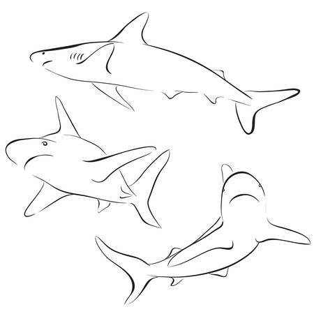 Graphic collection of sharks drawn in line art style. Sea and ocean predator. Coloring bookのイラスト素材